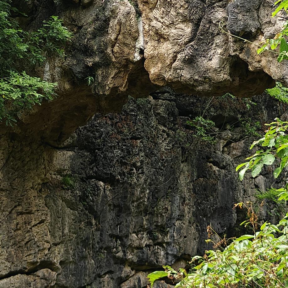 此号被封，已作废