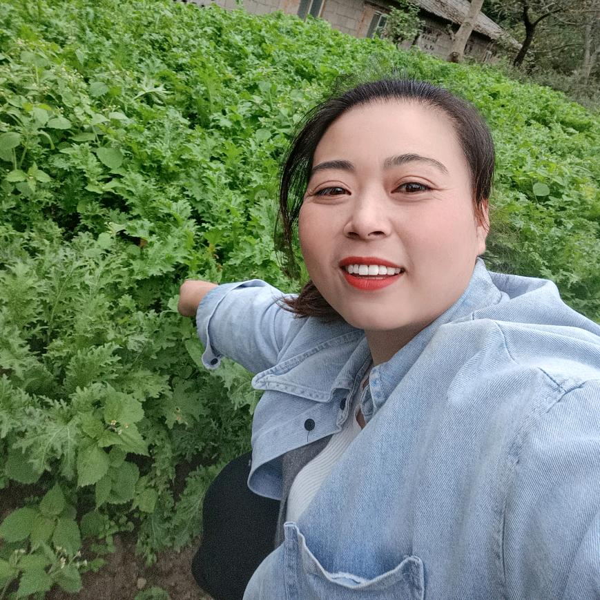 如夏（徽县土特产）