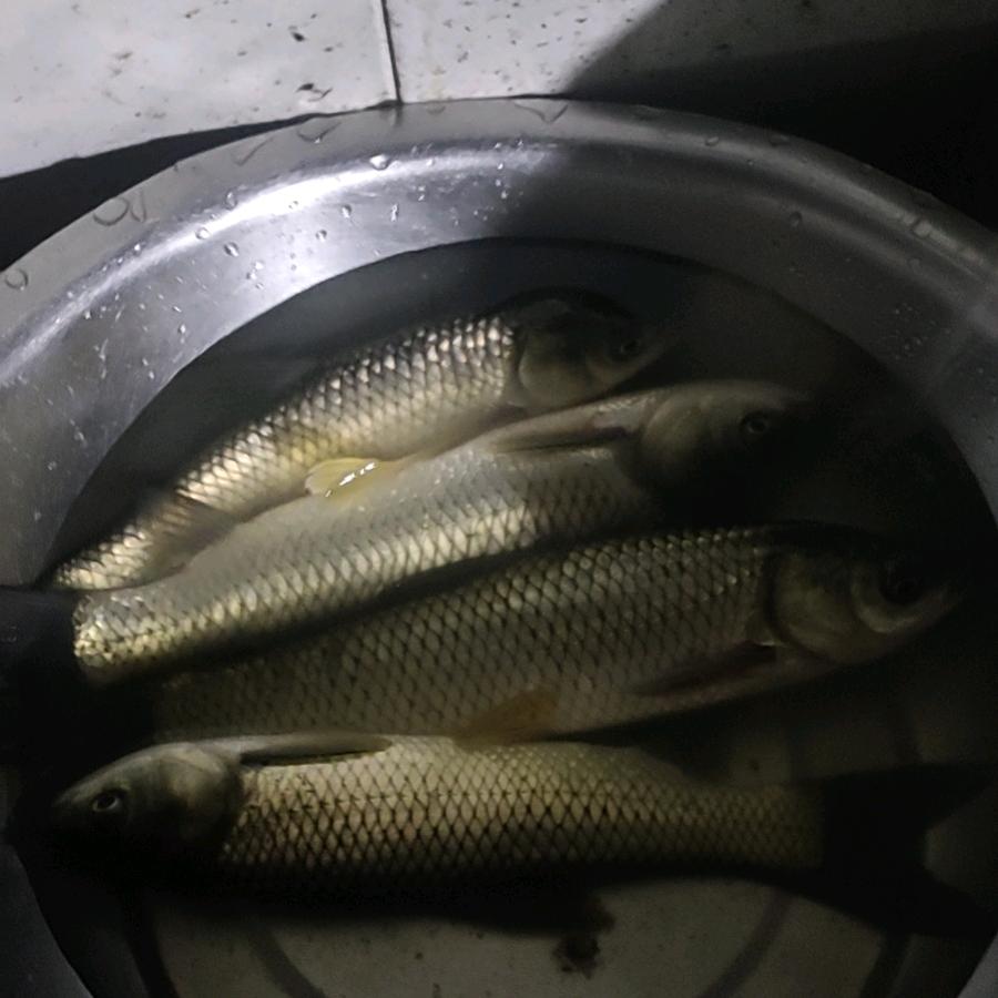 鑫鑫宝贝