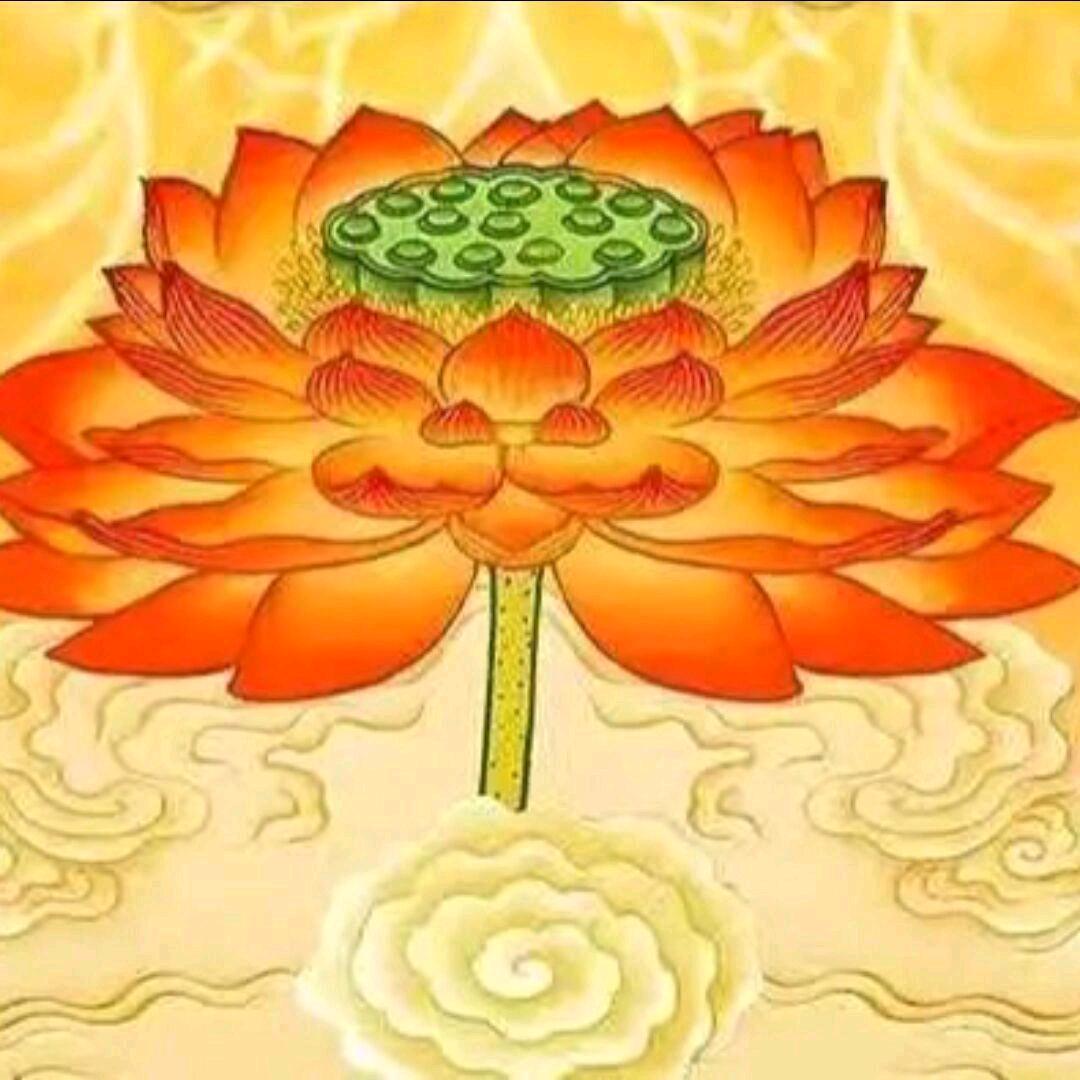 智慧人生