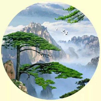 小韦♬