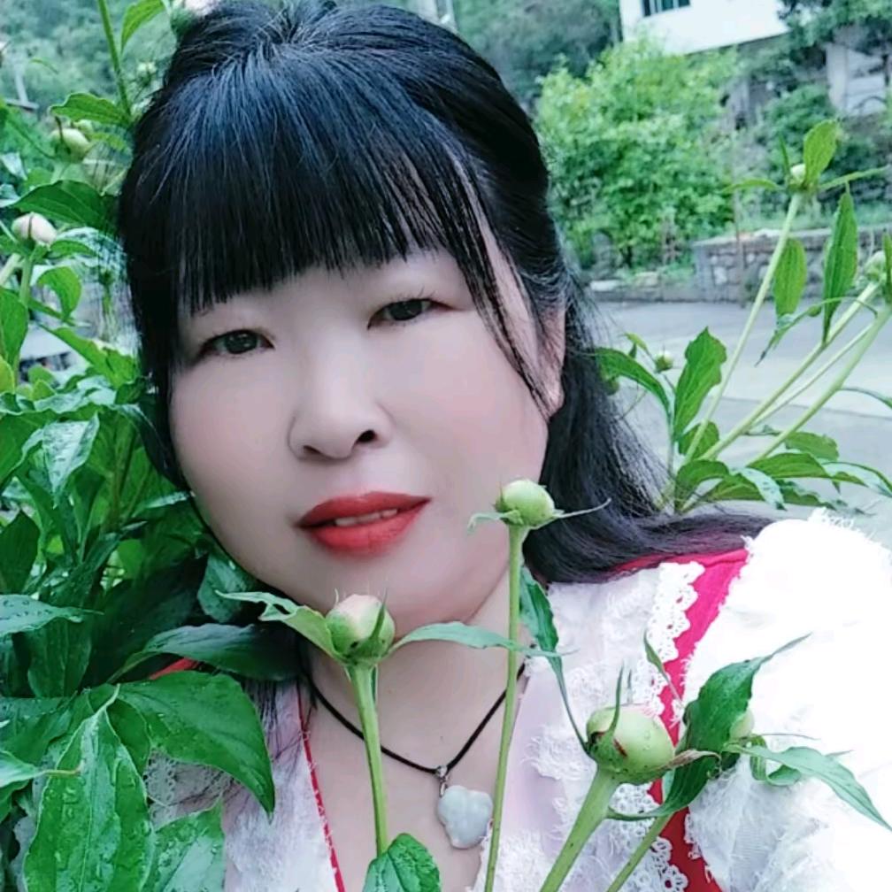 云云