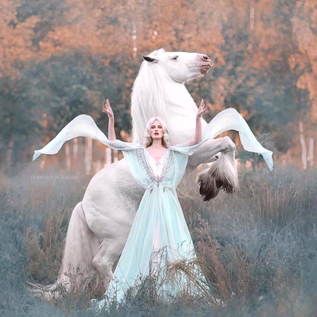 游牧部落“小巴特”