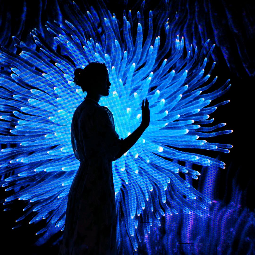 Yazmin   （🖼️）