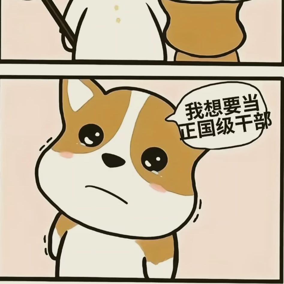 喜气又洋洋