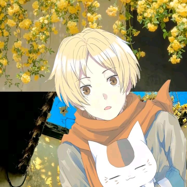 纳兹咩