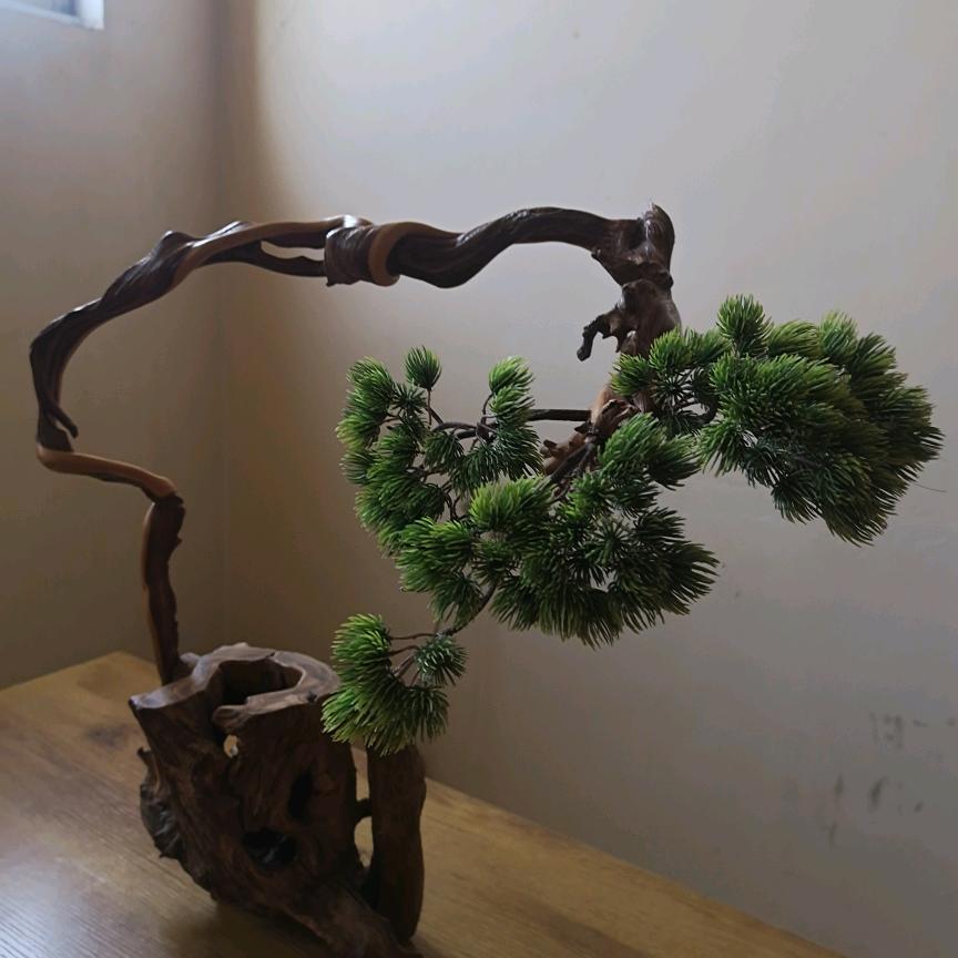 荆柏缘！军哥！