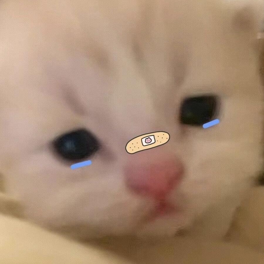 波罗的鱼