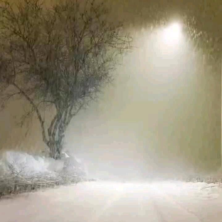 余生要抱抱