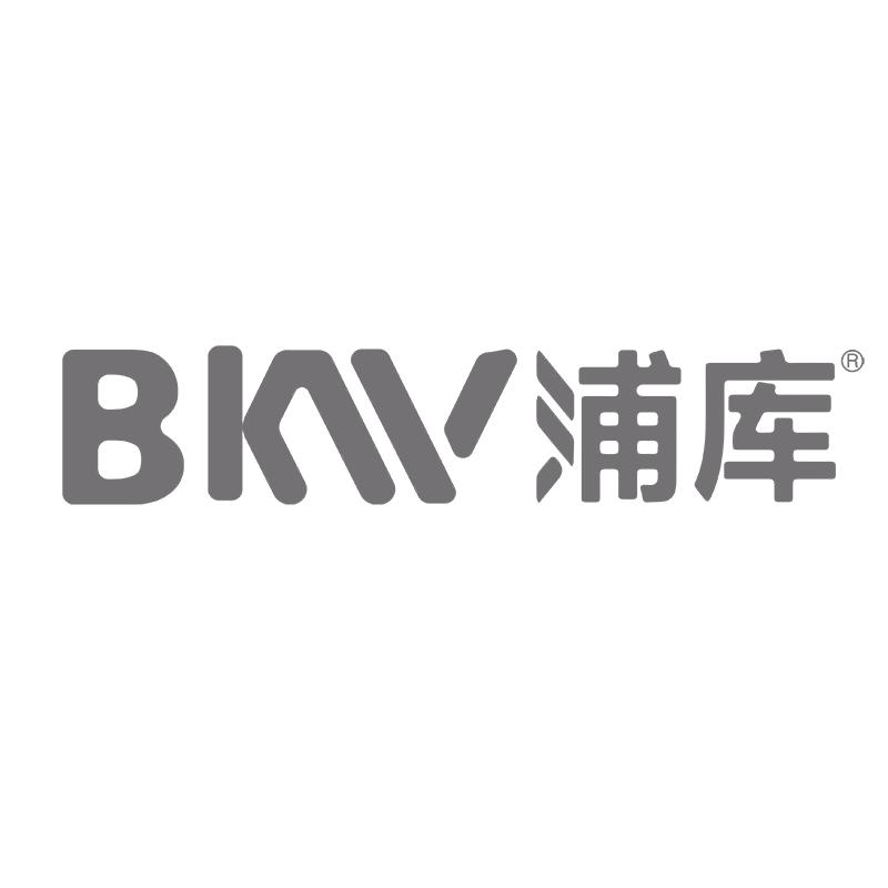 BKW浦库电器