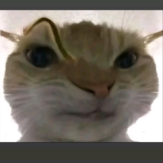 小鑫爱玩游戏