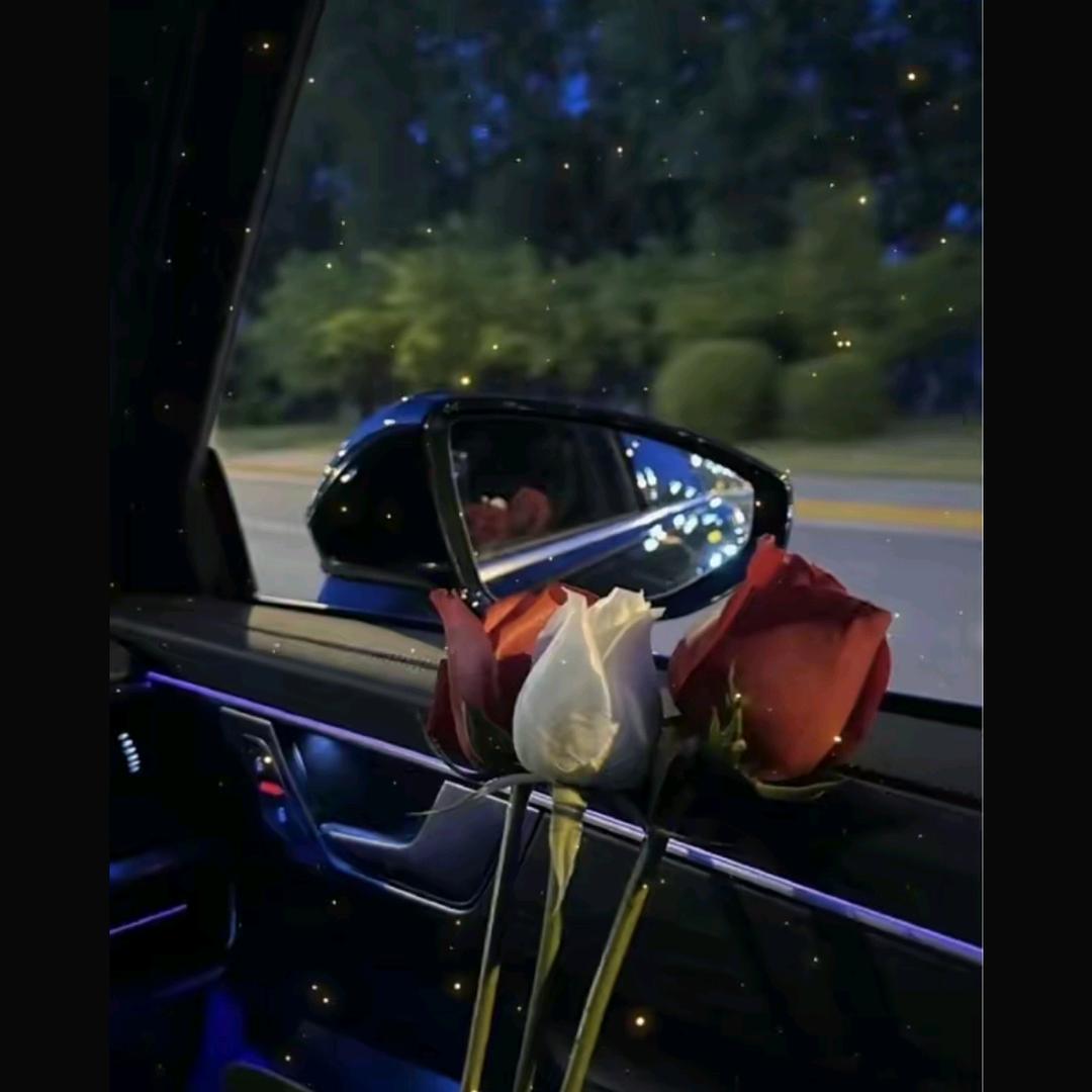 爱财爱己，风生水起