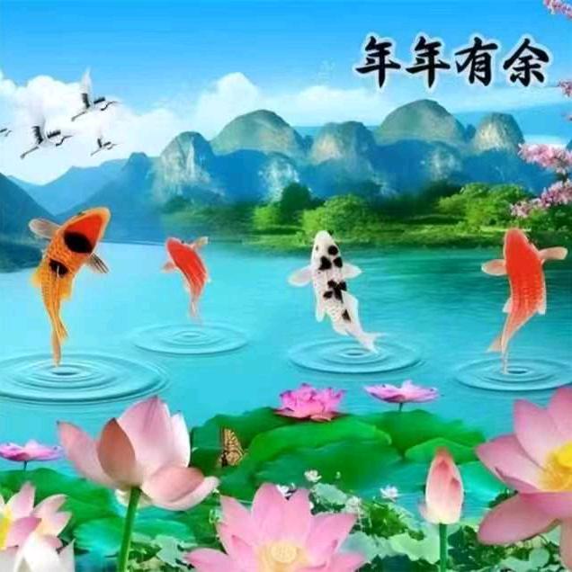 韵舒