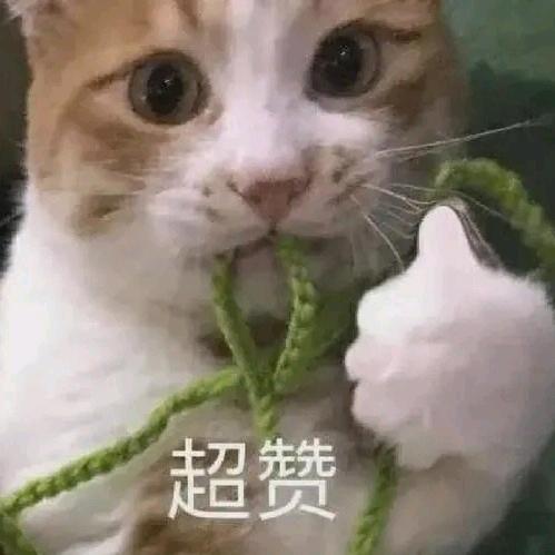 。。。谢谢
