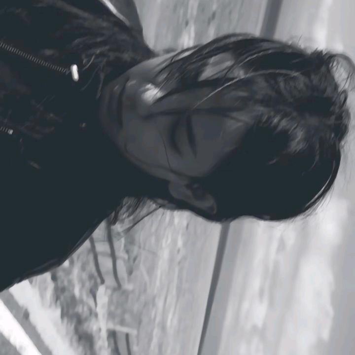 黄雪球球