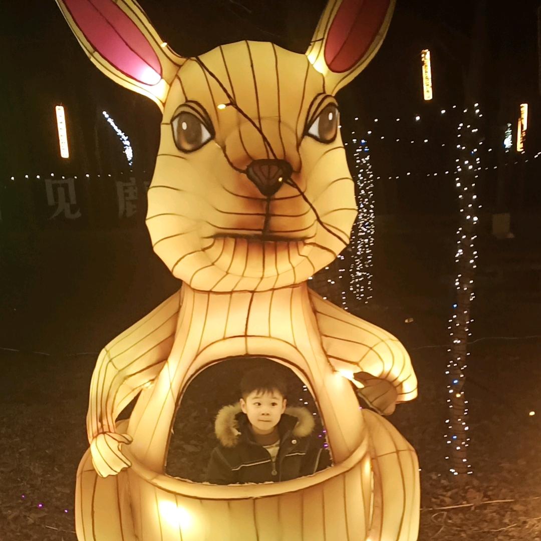 大豆发酵源头厂家