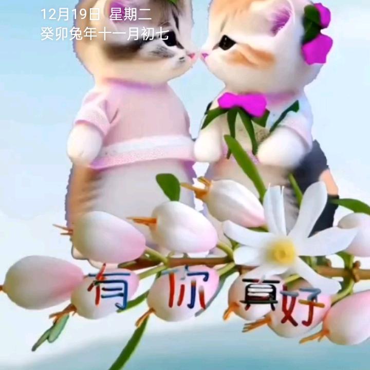 宝好困