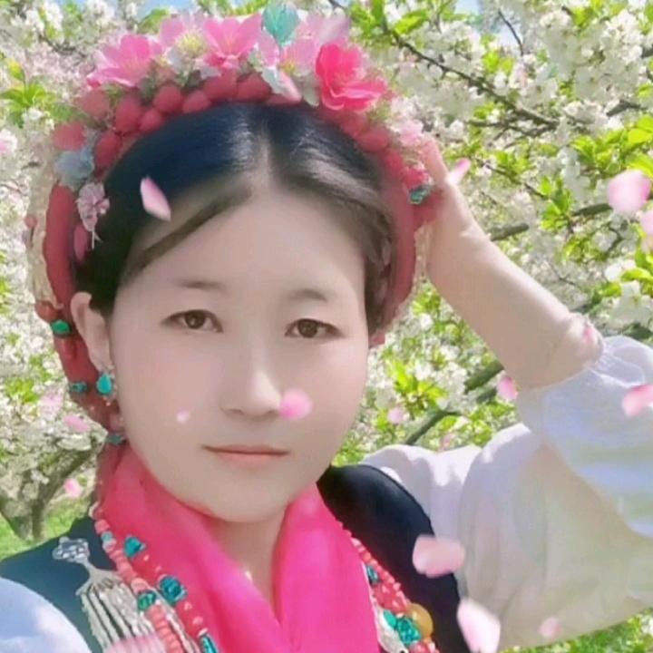 卡瓦嘎布-🌹