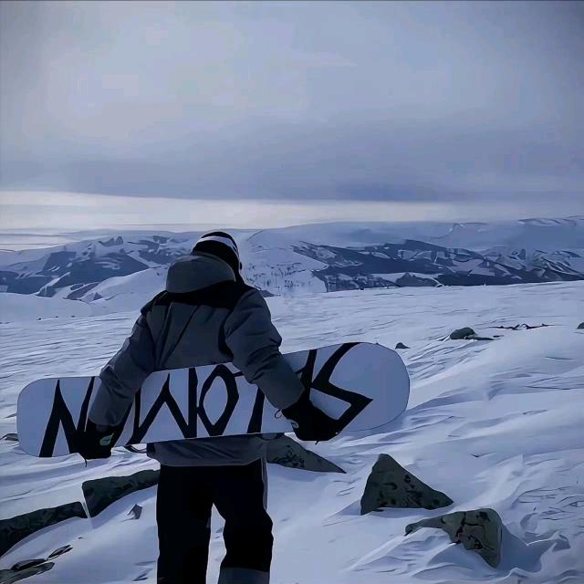 我是真没招了🍂