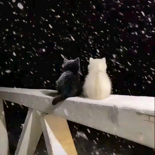 ᭄㜂孞💞惢愛ꦿ༉