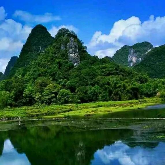 燕飞来💑👨‍👩‍👧‍👦