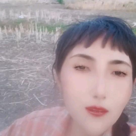 开心果开心就好