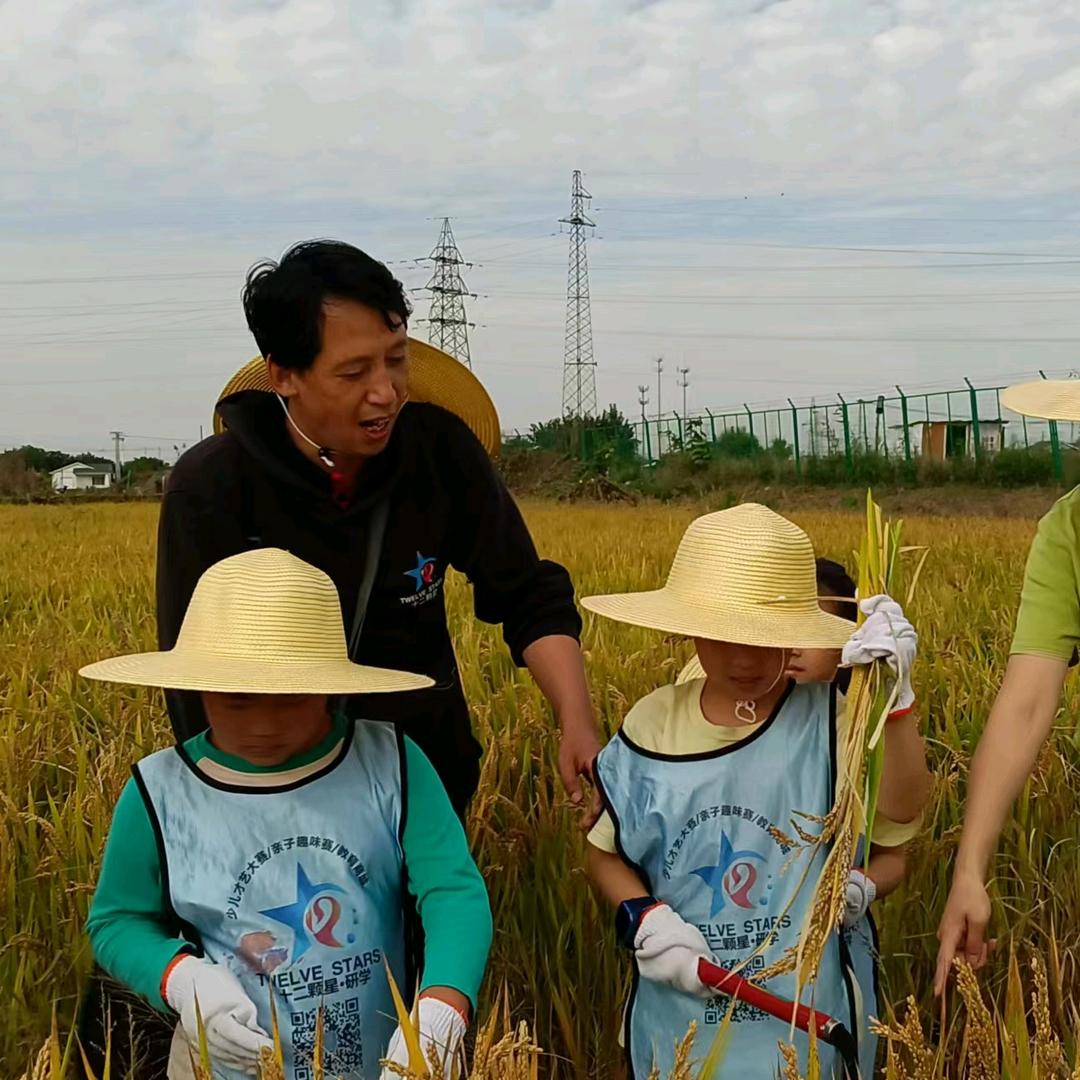 王大苏带你去旅行