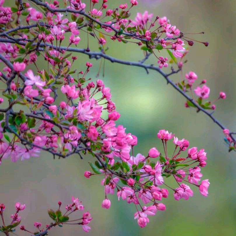 走上致富之路٩(•̤̀ᵕ•̤́๑)