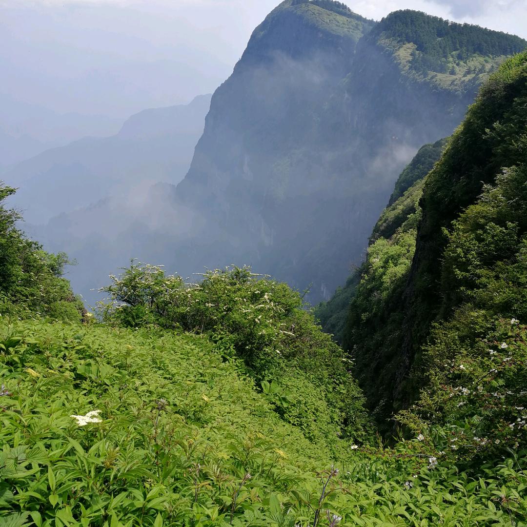 靖宇