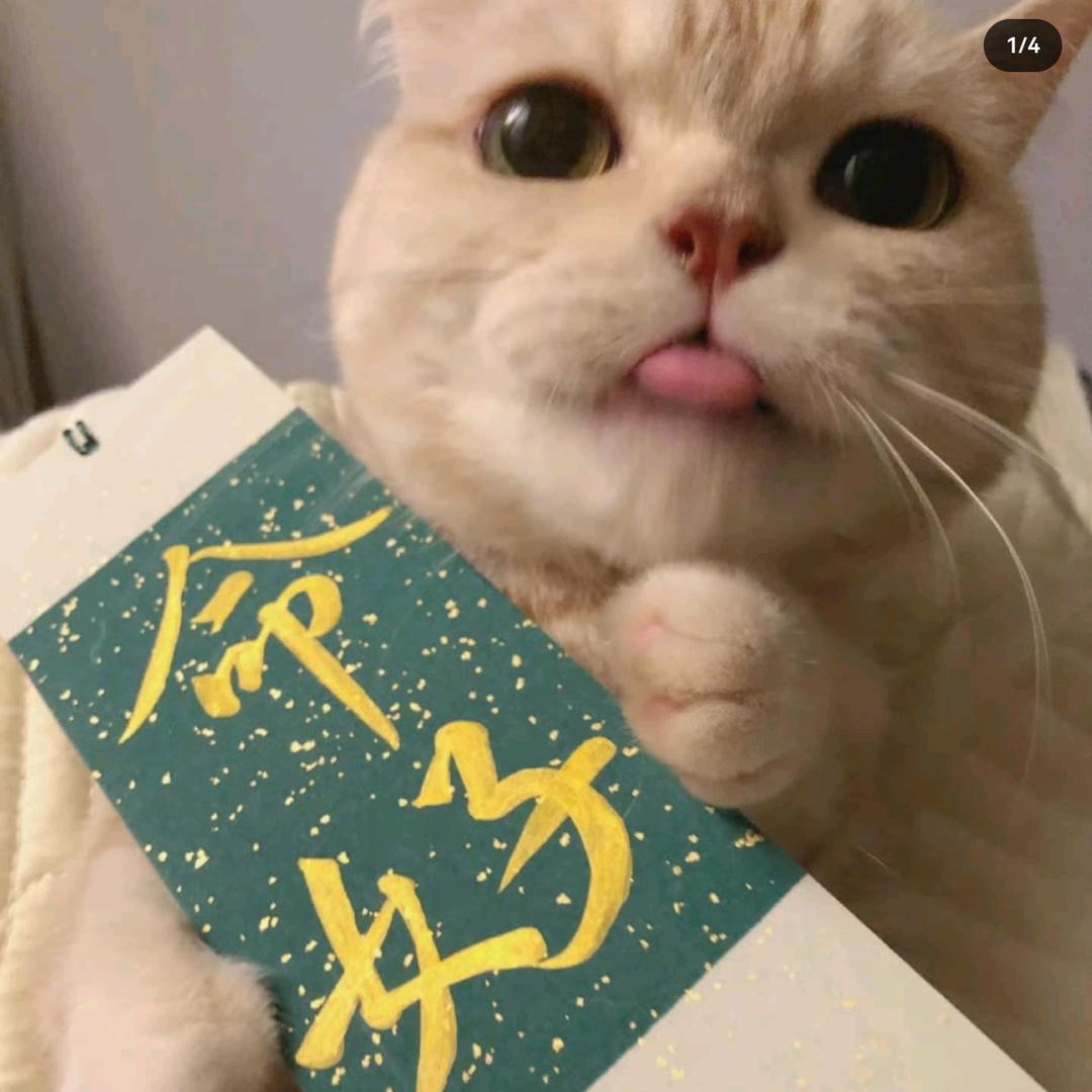 瑶瑶衣橱