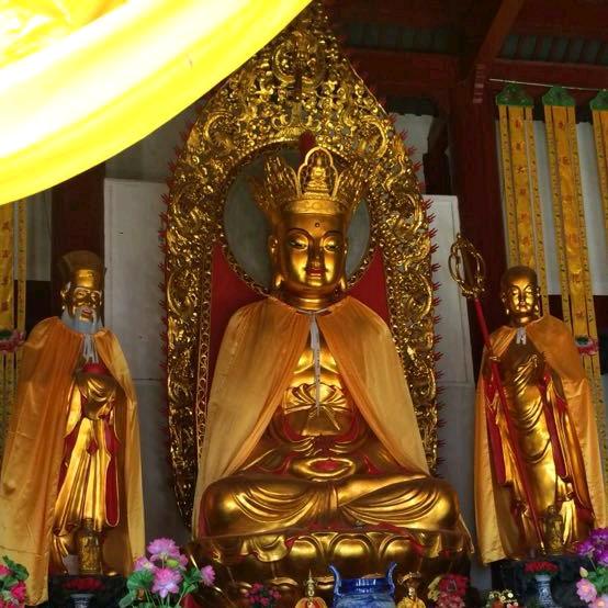 人生短短急个球