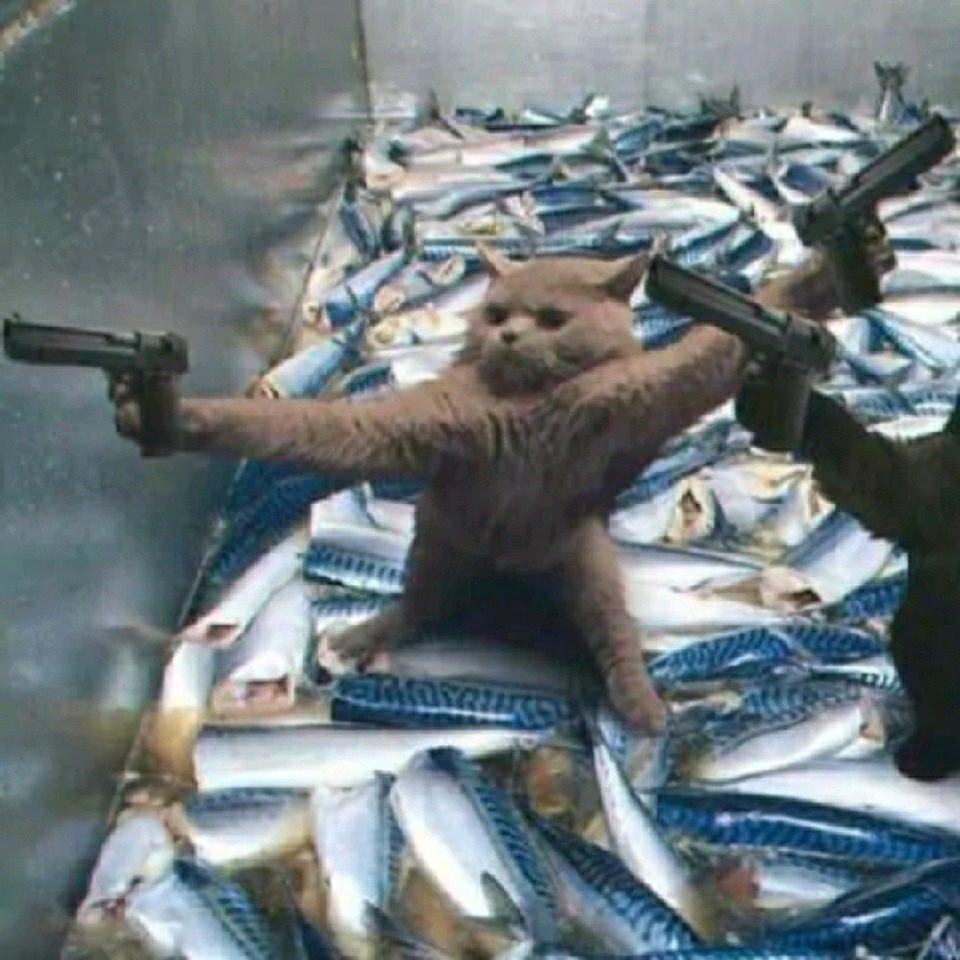 Nnols