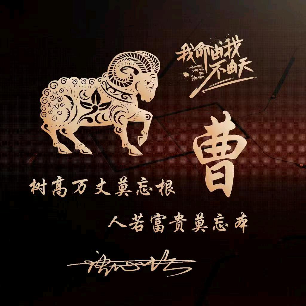 曹哥干彩钢