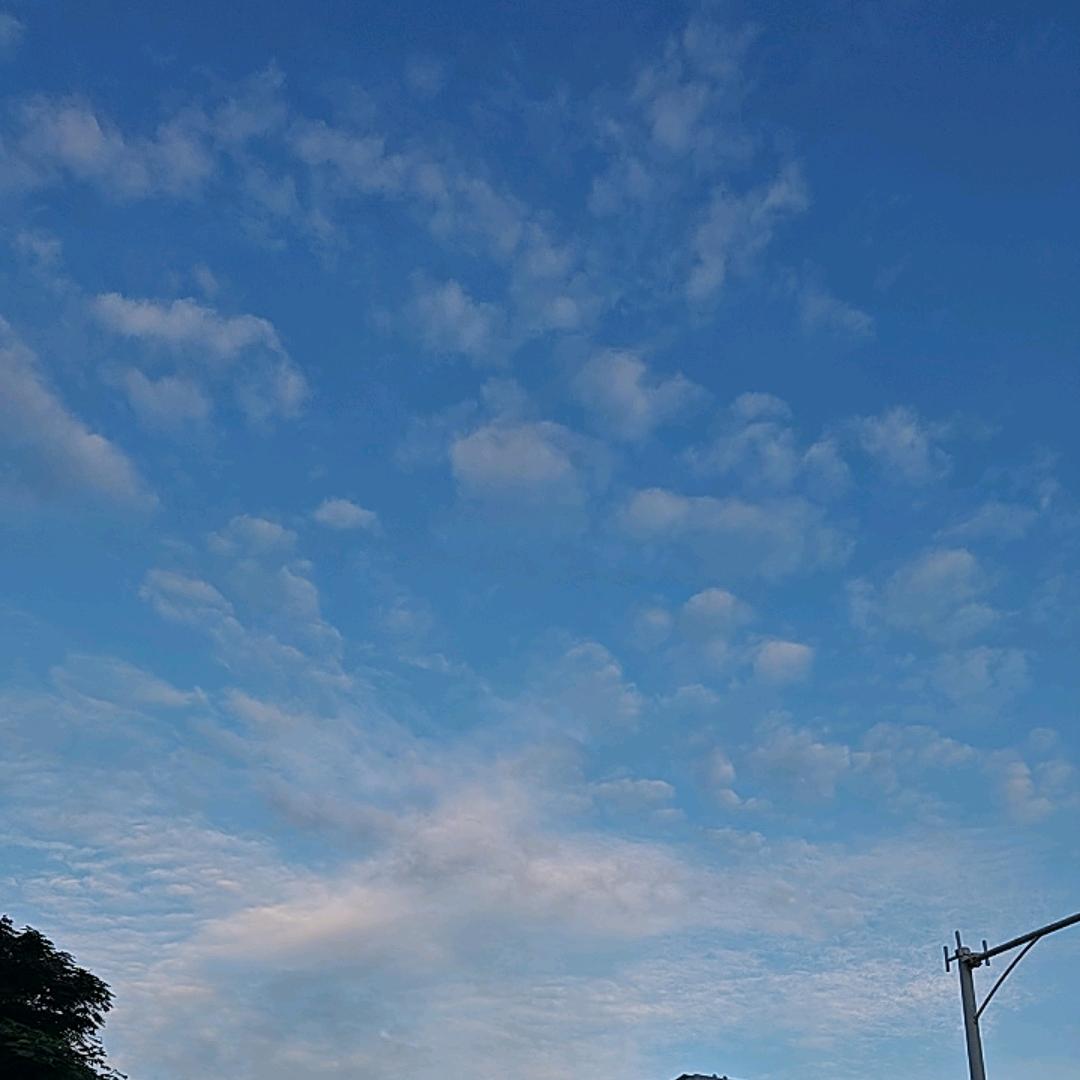 心想事成