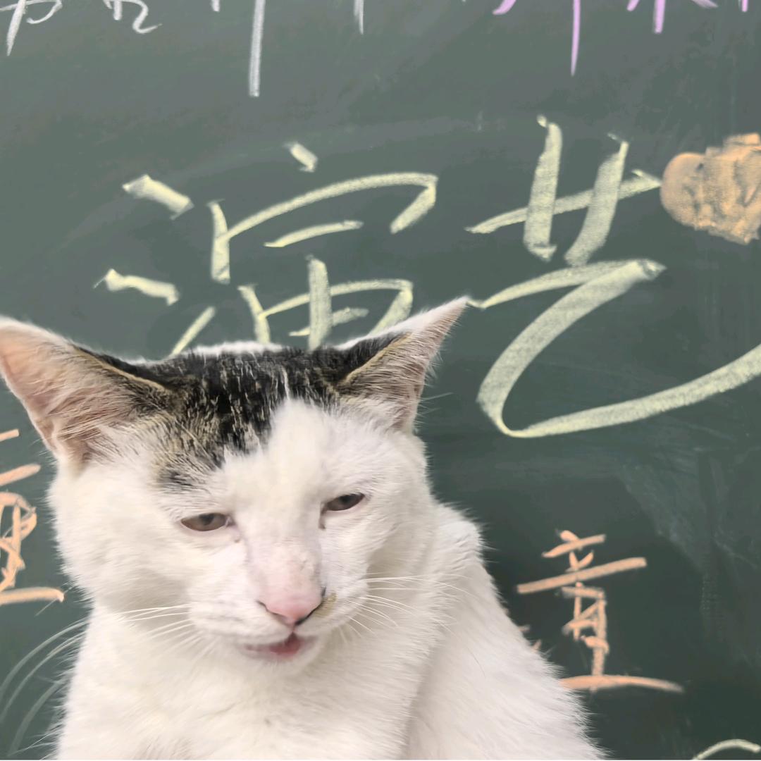 石家庄小艺