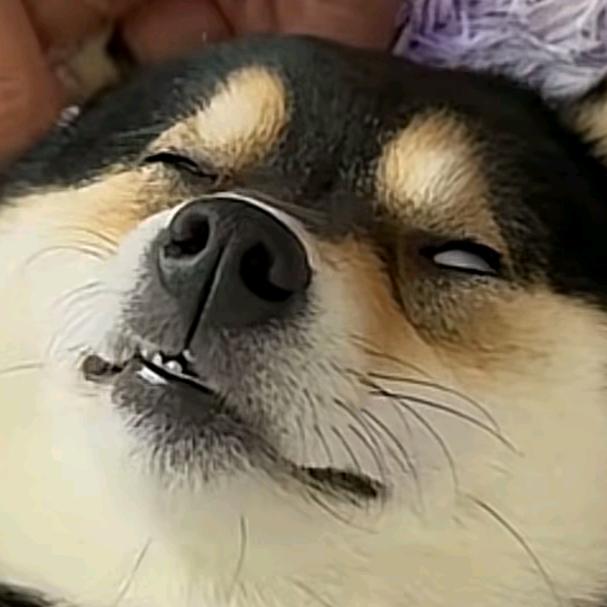 男大直播玩牛被录威胁