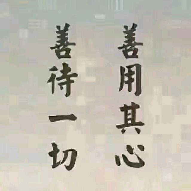 辰字号