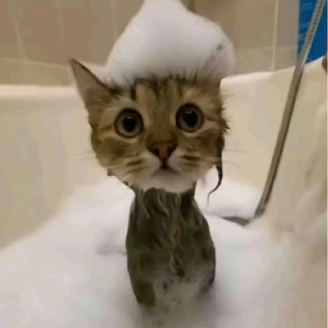 派大星的海洋裤            ༽