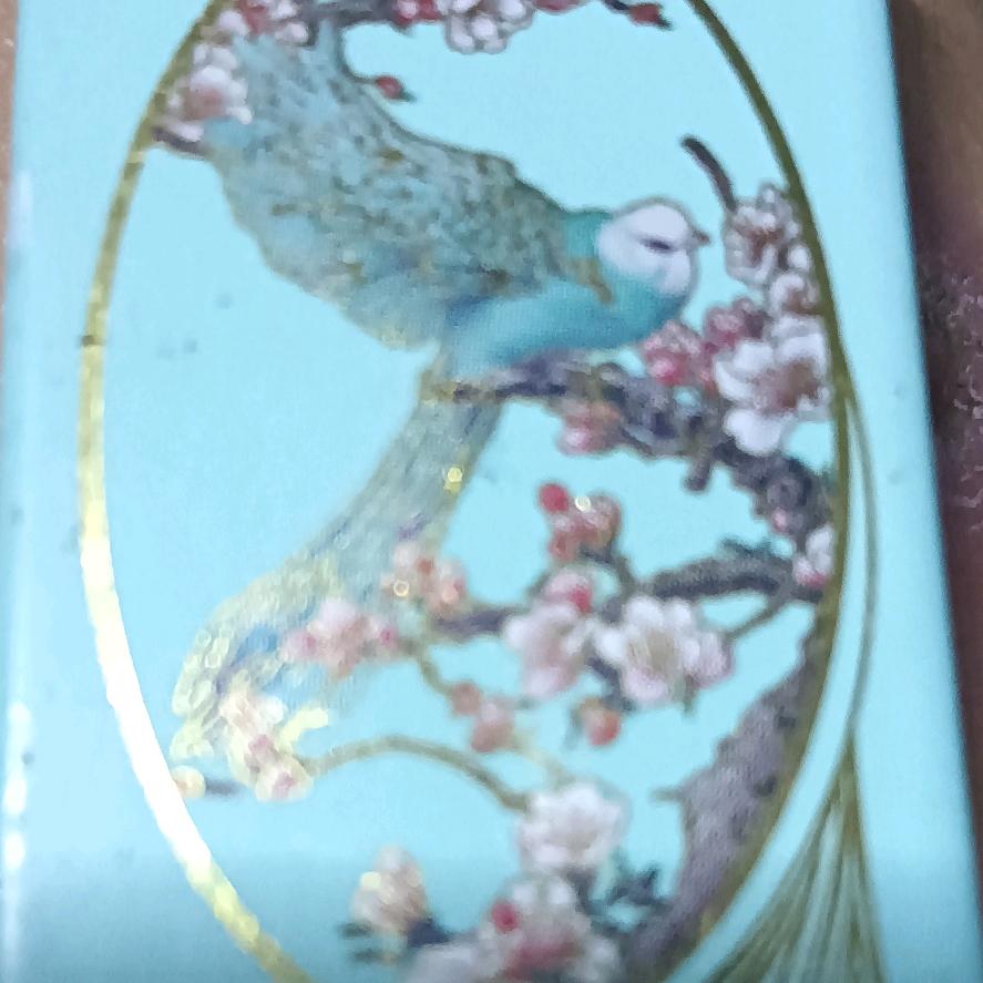 泉哥
