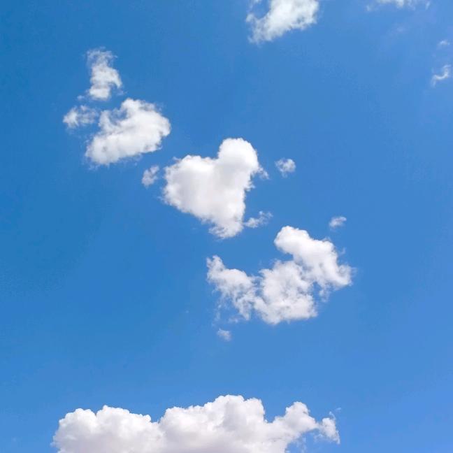 👆天意有情天亦老🙏