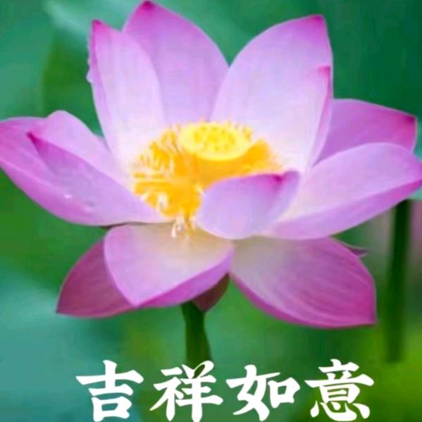妙青