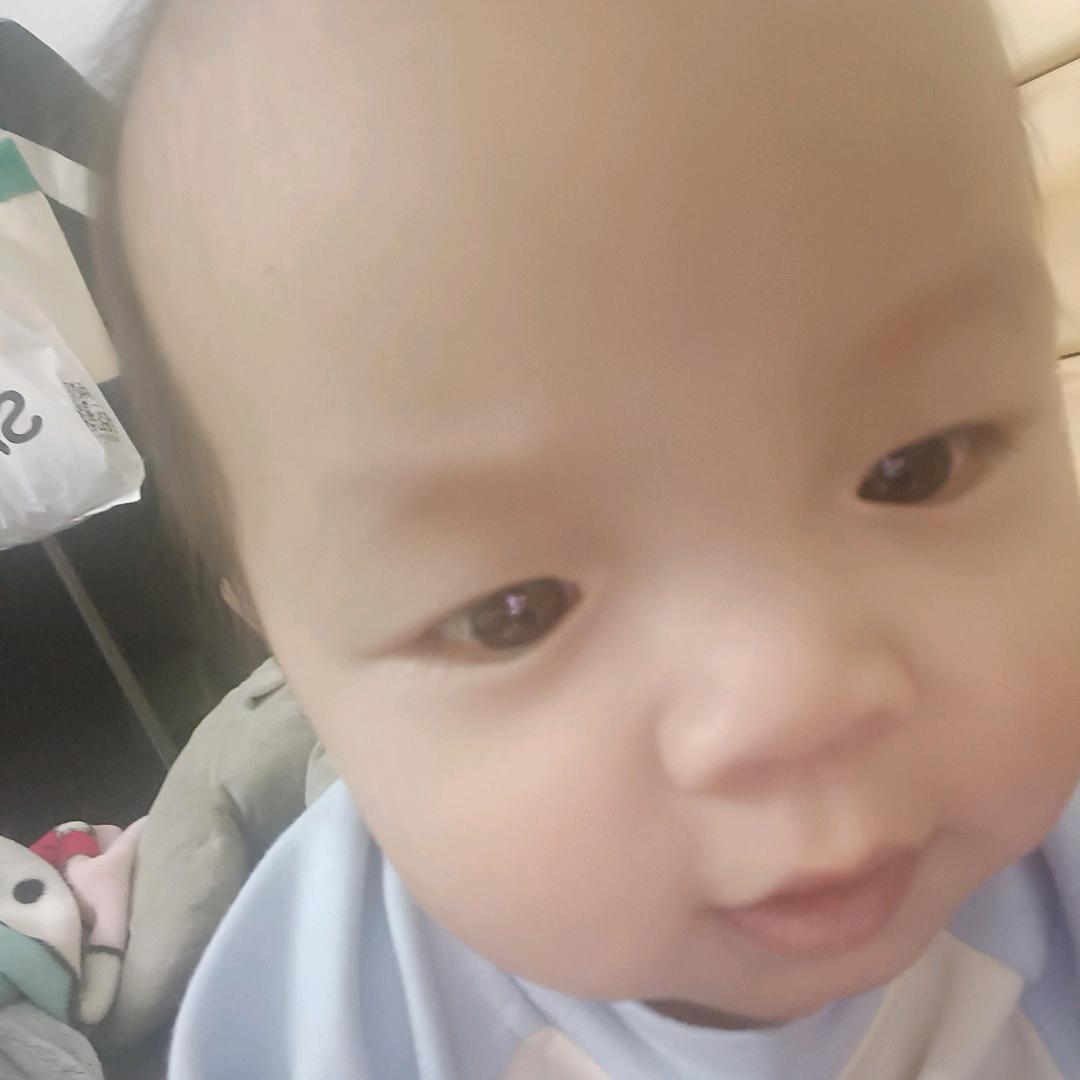 彭宝贝吖🐹（记录生活）