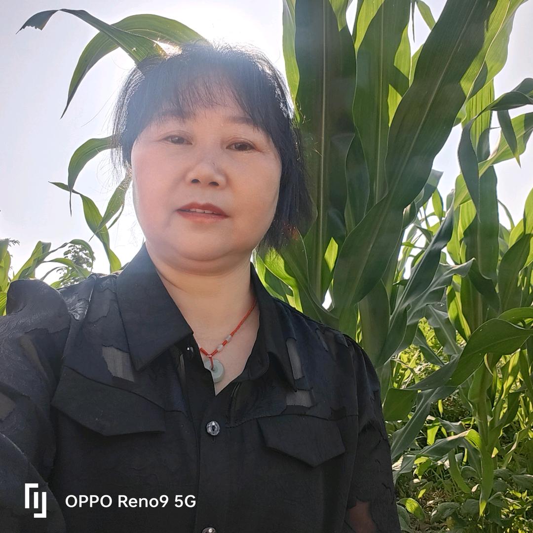 孟姐 晚上8:20