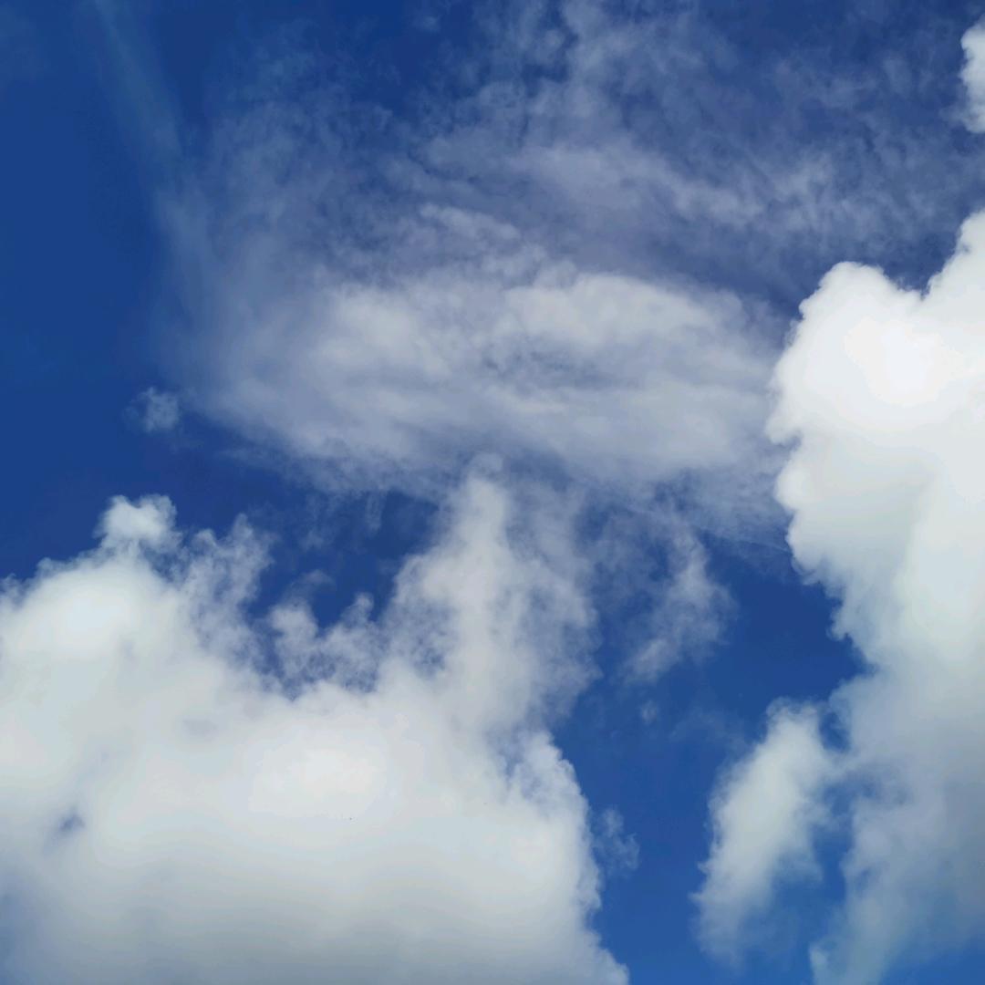 雲歌