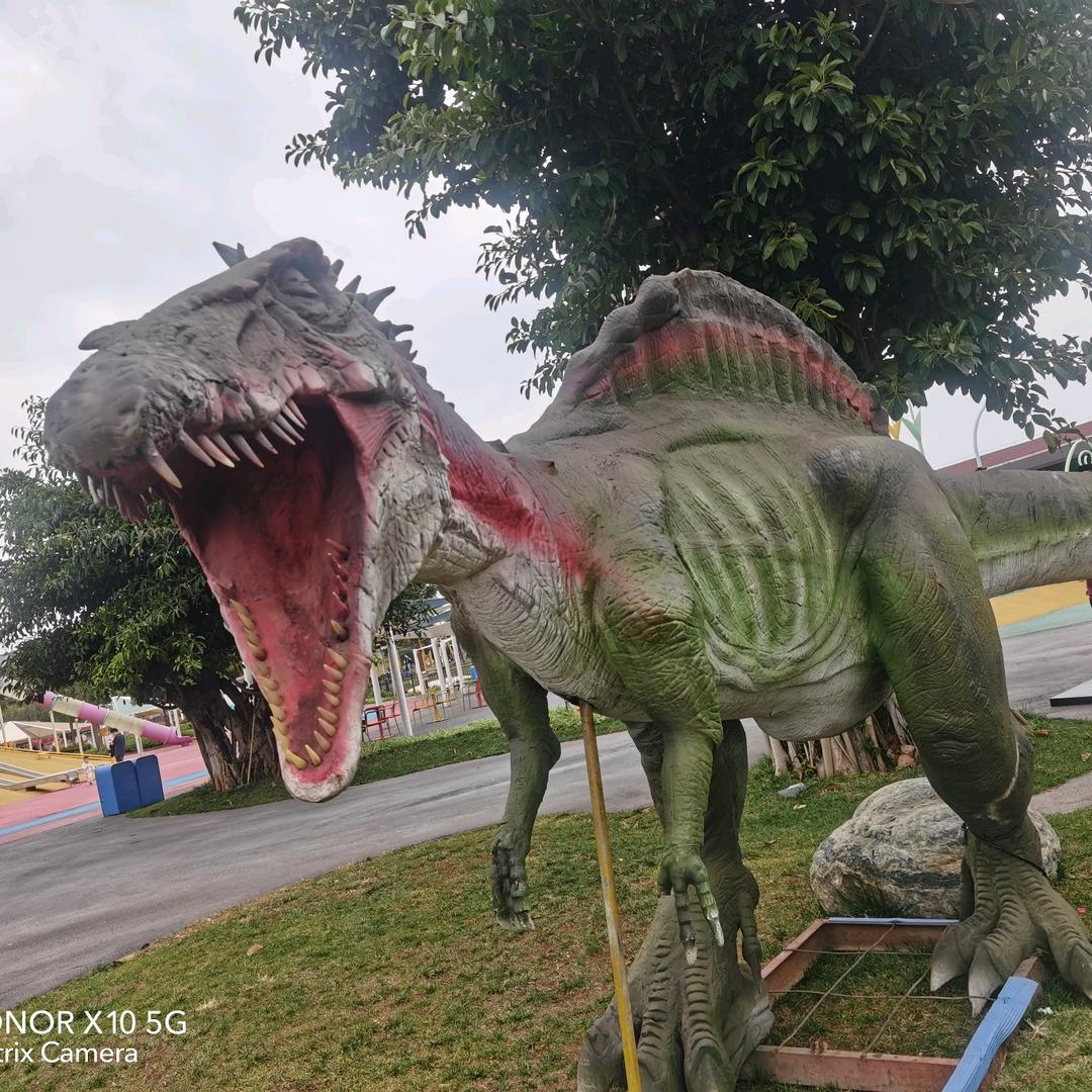 云南🏓⛳️陈柏谚