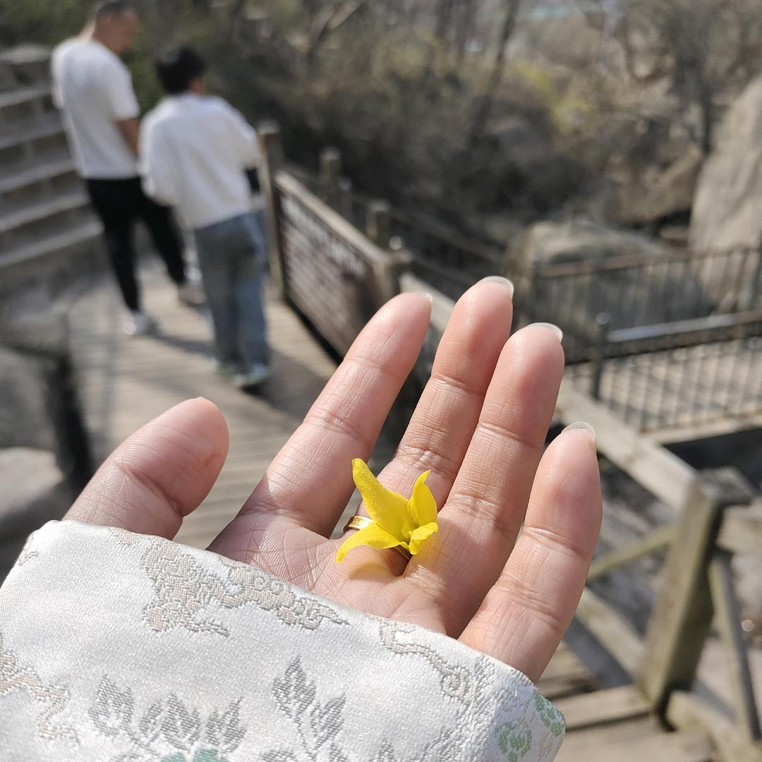 福气满满。♡