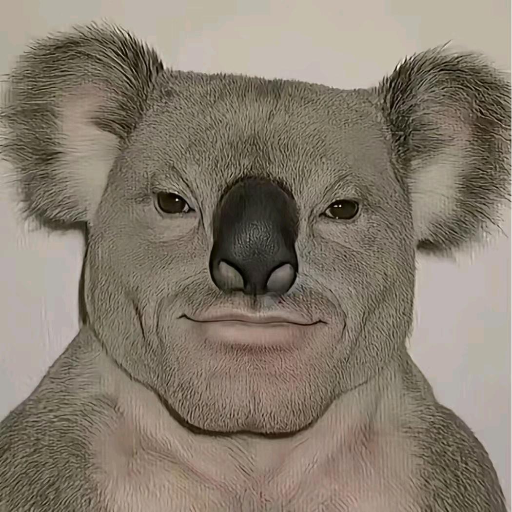 风娇娇