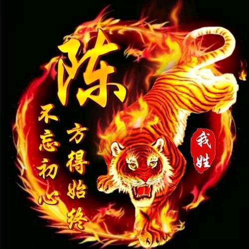 手握日月摘星 陈