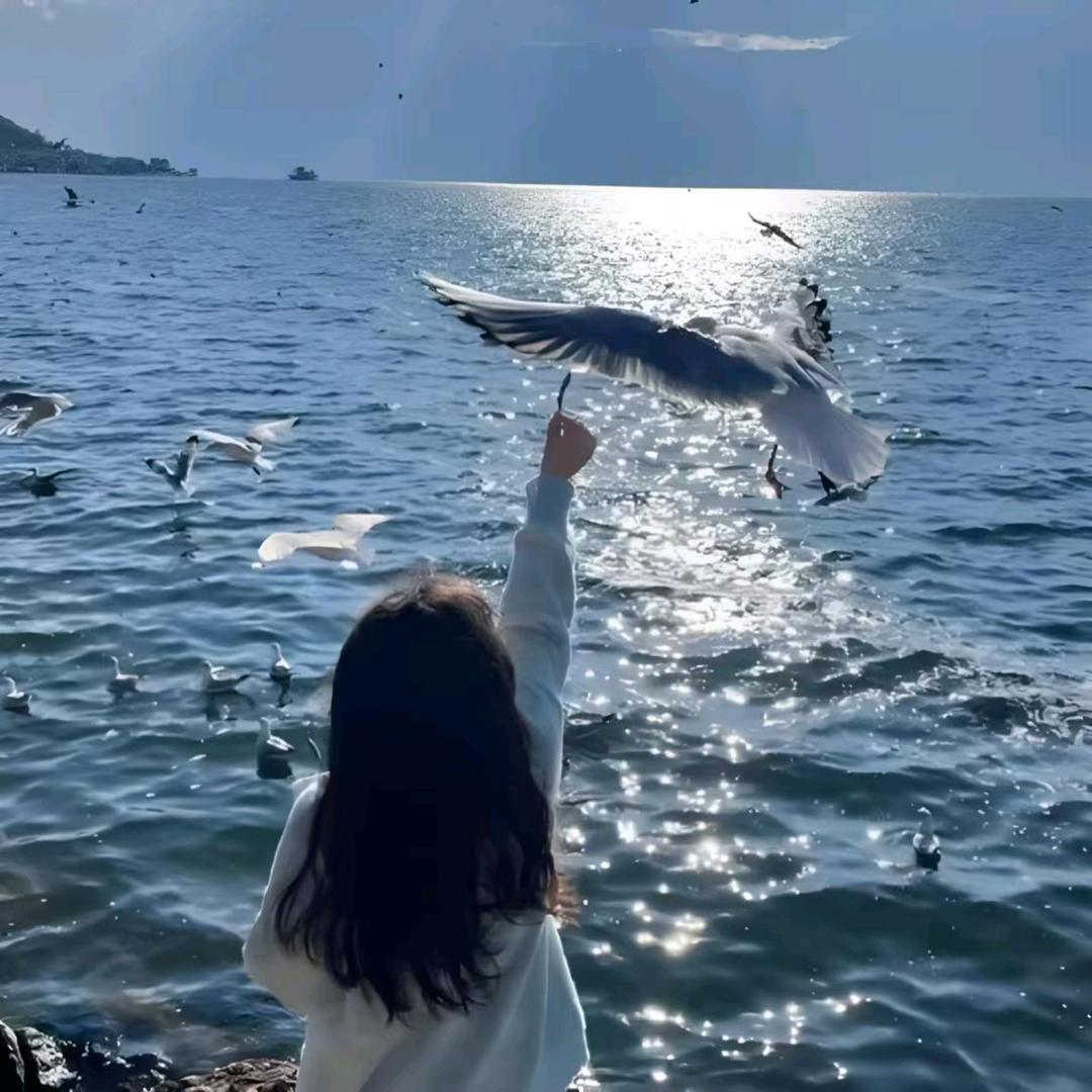 @满天星辰