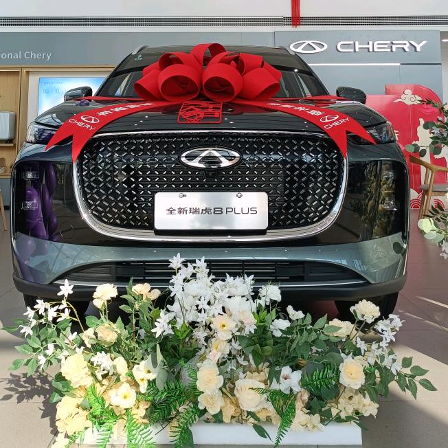 奇瑞（天天店）小易总